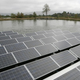 A man walks between floating solar panels on a pond in Oakville, California.
